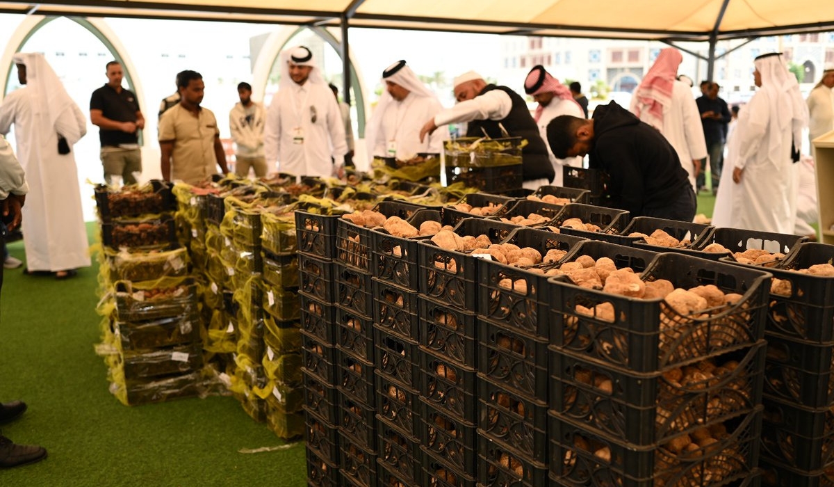 70 Tons of Truffles Sold at Souq Waqif Truffle Exhibition and Auction 2024